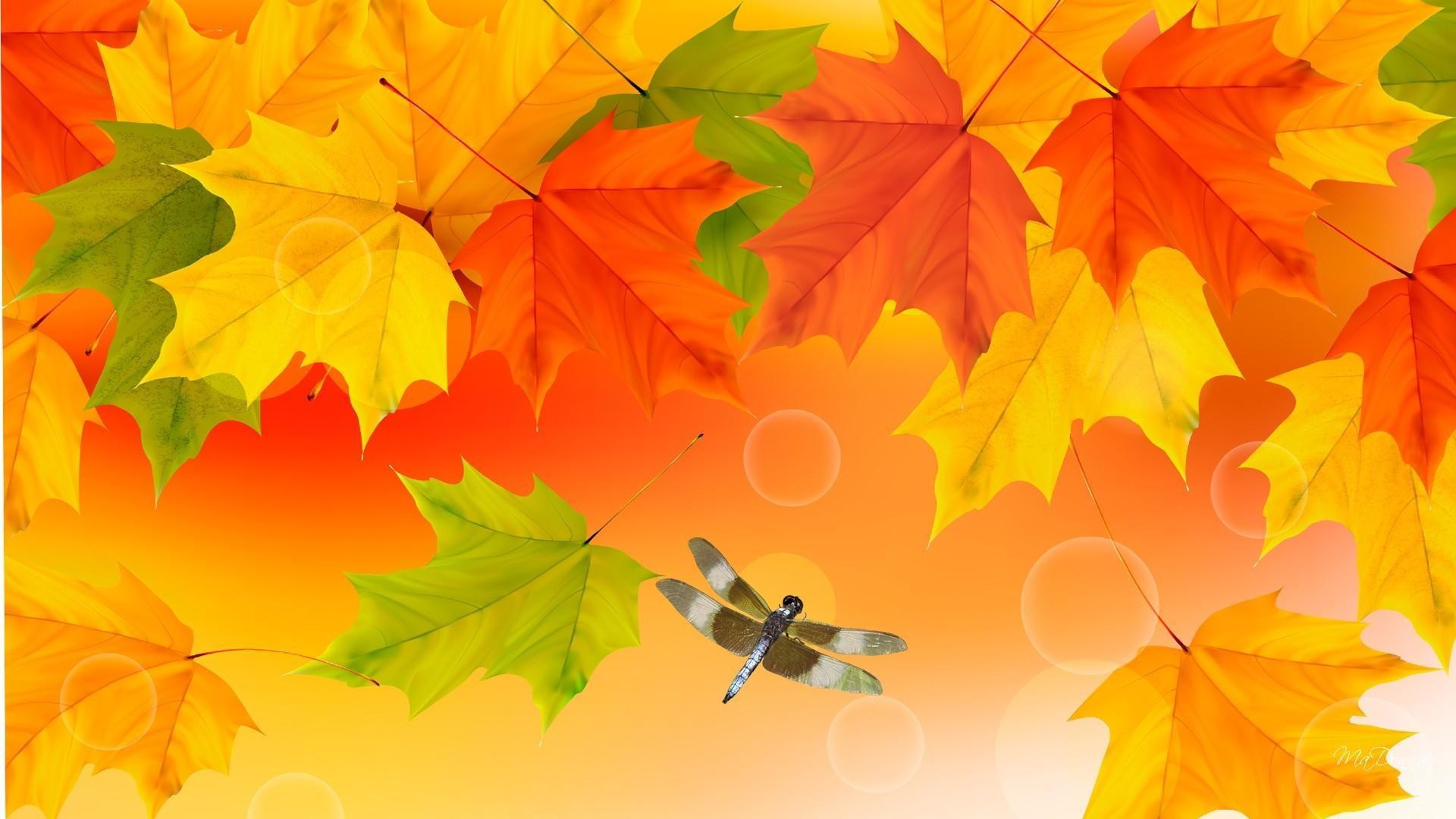 Best Cute Fall Wallpaper With high-resolution 1920X1080 pixel. You can use and set as wallpaper for Notebook Screensavers, Mac Wallpapers, Mobile Home Screen, iPhone or Android Phones Lock Screen