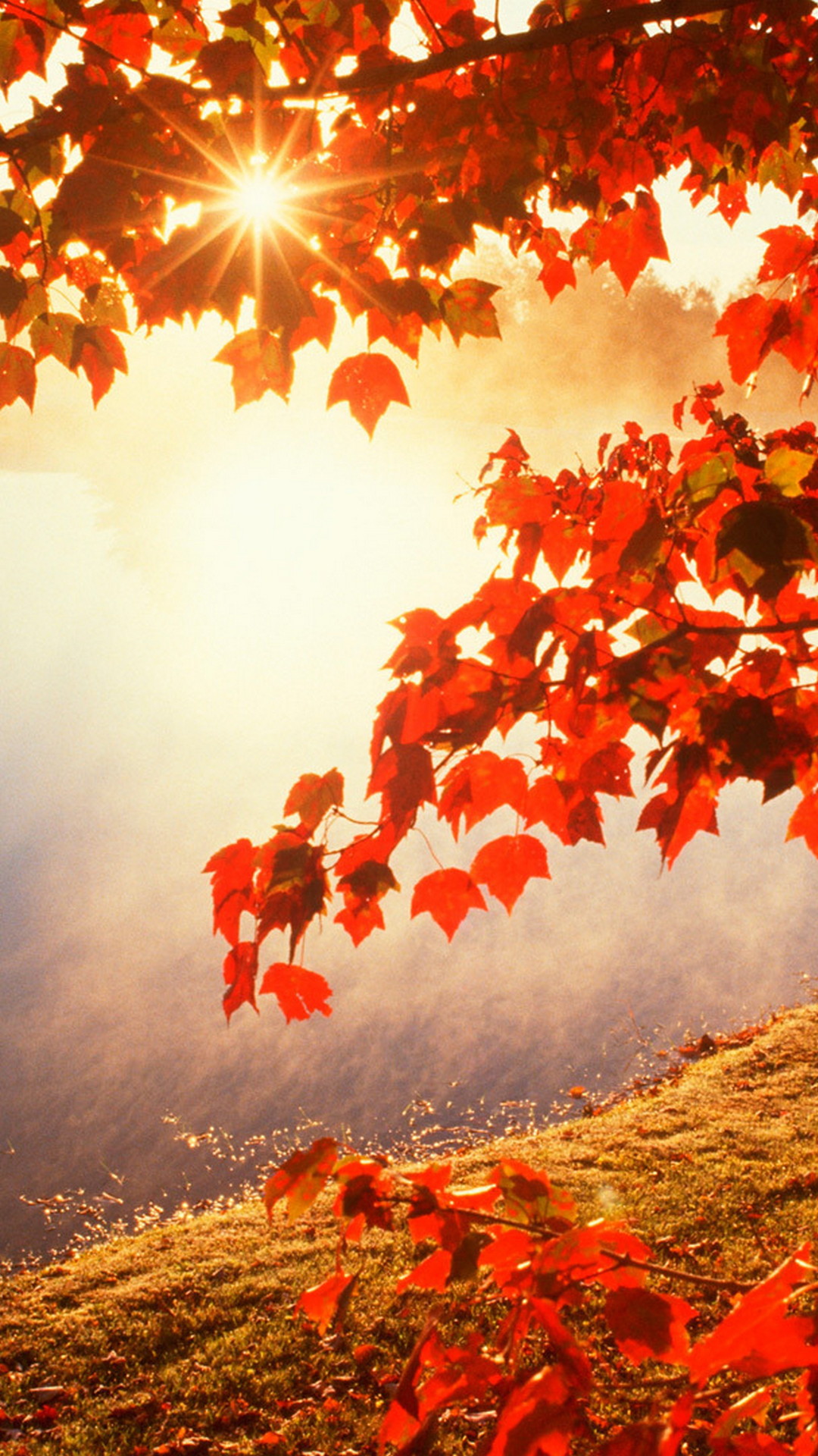 high resolution fall backgrounds for computer