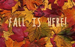Cute Fall Wallpaper HD Laptop With high-resolution 1920X1080 pixel. You can use and set as wallpaper for Notebook Screensavers, Mac Wallpapers, Mobile Home Screen, iPhone or Android Phones Lock Screen