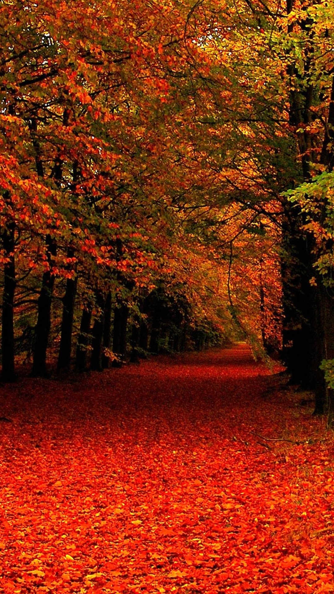 high resolution fall backgrounds for computer