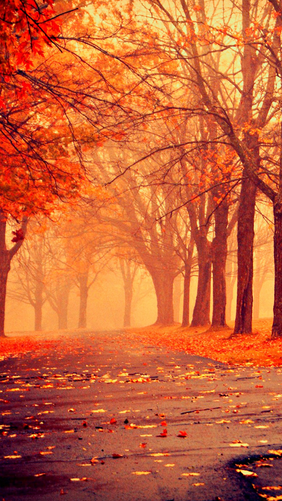 Fall Mobile Wallpaper - Wallpaper HD 2023