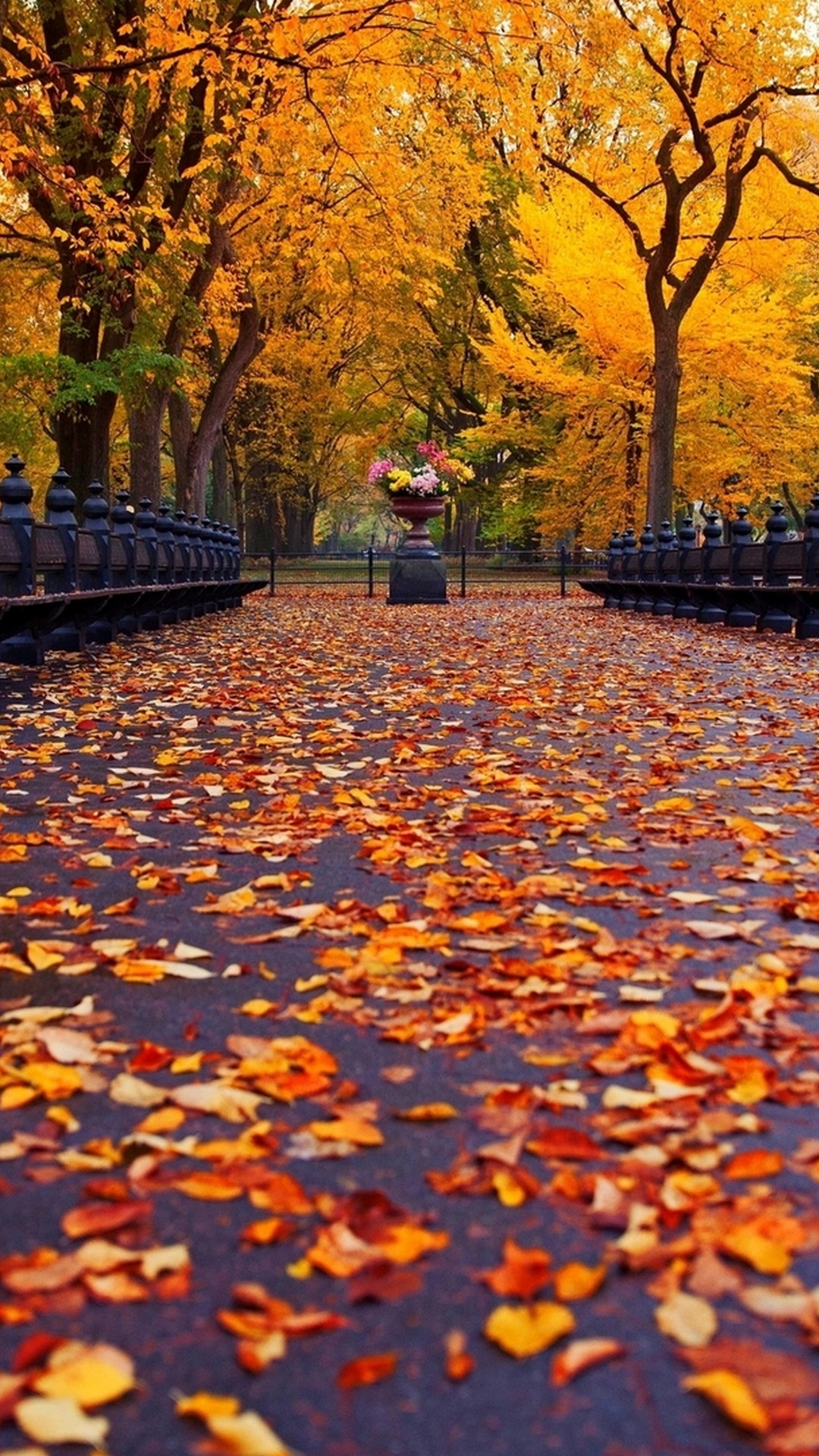 Fall Mobile Wallpaper - Wallpaper HD 2023