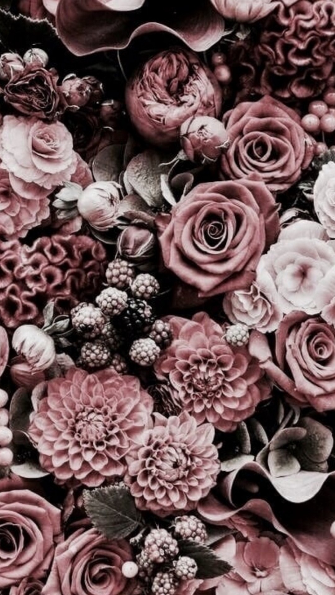 Rose Aesthetic Images - Free Download on Freepik