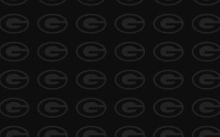 Green Bay Packers iPhone 12 Wallpaper With high-resolution 1080X1920 pixel. You can use and set as wallpaper for Notebook Screensavers, Mac Wallpapers, Mobile Home Screen, iPhone or Android Phones Lock Screen