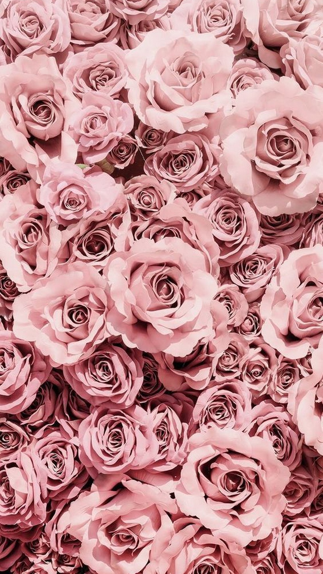 Rose Gold Aesthetic Android Wallpaper - Wallpaper HD 2023