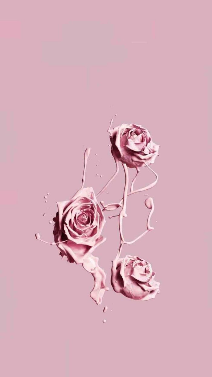 Rose Gold Aesthetic iPhone Wallpaper HD Lock Screen - Wallpaper HD 2024