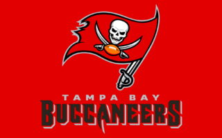Tampa Bay Buccaneers Desktop Wallpaper HD With high-resolution 1920X1080 pixel. You can use and set as wallpaper for Notebook Screensavers, Mac Wallpapers, Mobile Home Screen, iPhone or Android Phones Lock Screen
