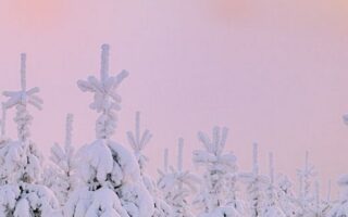 Winter Aesthetic Android Wallpaper With high-resolution 1080X1920 pixel. You can use and set as wallpaper for Notebook Screensavers, Mac Wallpapers, Mobile Home Screen, iPhone or Android Phones Lock Screen
