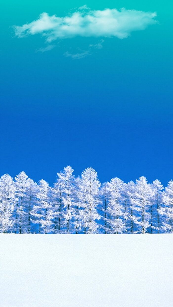 Winter Aesthetic iPhone 12 Wallpaper With high-resolution 1080X1920 pixel. You can use and set as wallpaper for Notebook Screensavers, Mac Wallpapers, Mobile Home Screen, iPhone or Android Phones Lock Screen