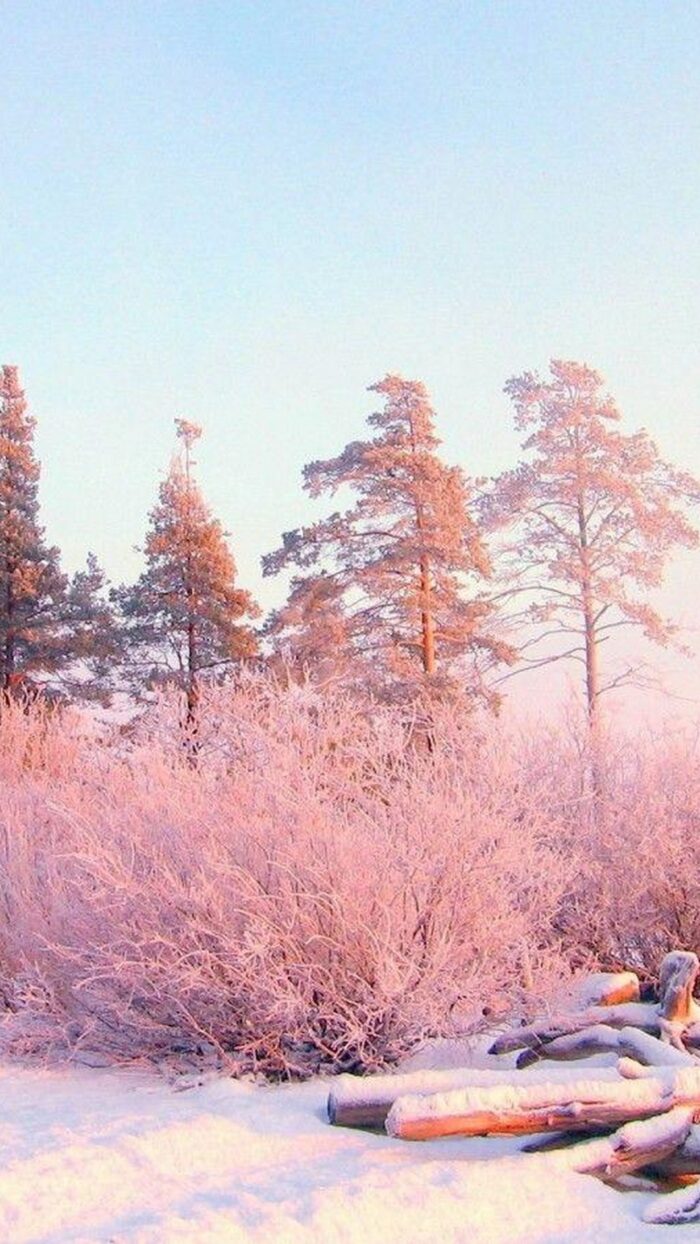 Winter Aesthetic iPhone Wallpaper HD Lock Screen - Wallpaper HD 2024