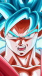 Goku SSJ Blue iPhone XR Wallpaper